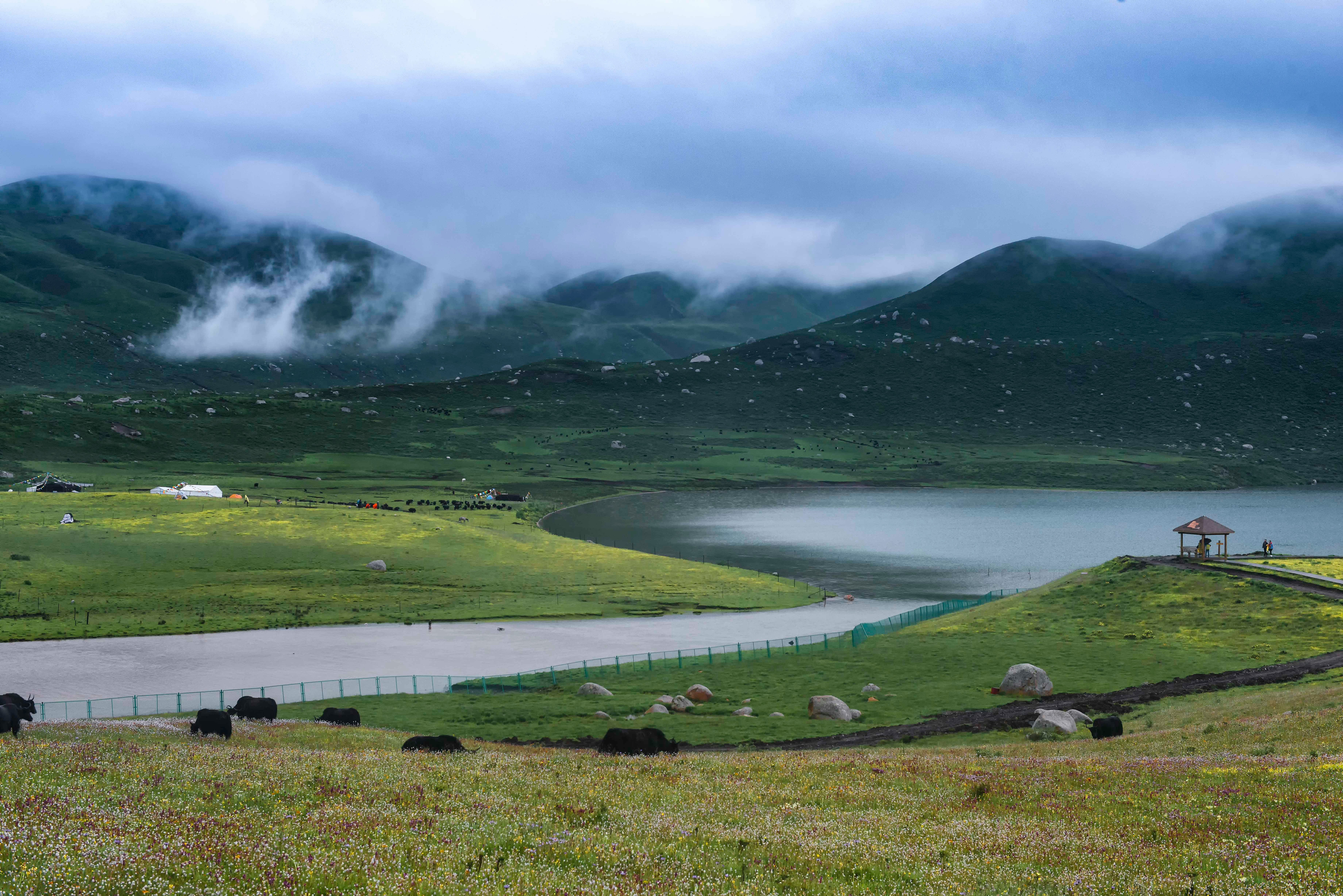 Thung lũng xanh Tây Tạng